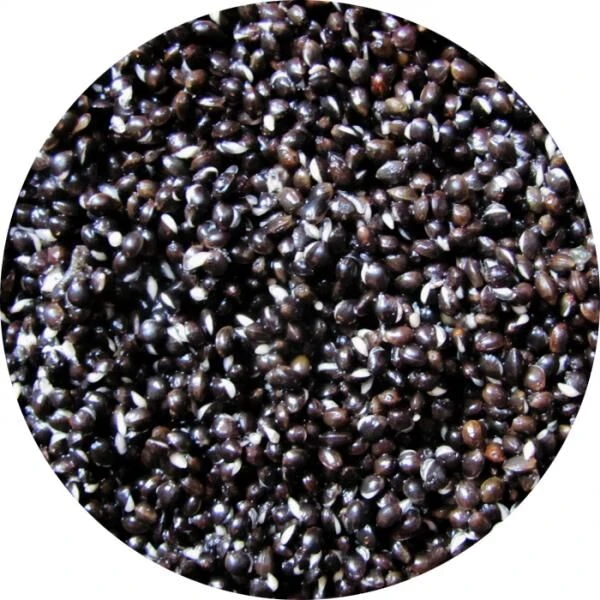 Eurotackle Hennep 5kg Ready To Fish 1 Eurotackle Hennep 5kg Ready To Fish