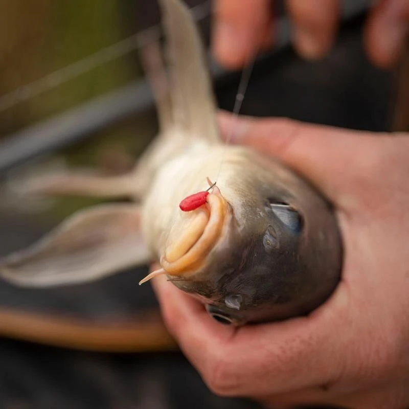 Fjuka 2in1 Pellets Red 3 Fjuka 2in1 Pellets Red - Afbeelding 3