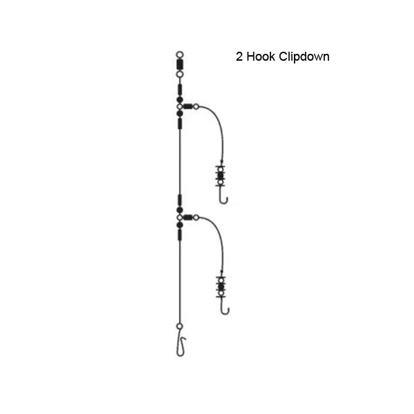 2 Hook Clipdown Rig 1 2 Hook Clipdown Rig