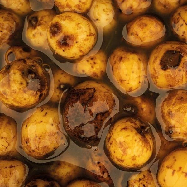 Nash Sweet Tigernuts 2 Nash Sweet Tigernuts - Afbeelding 2