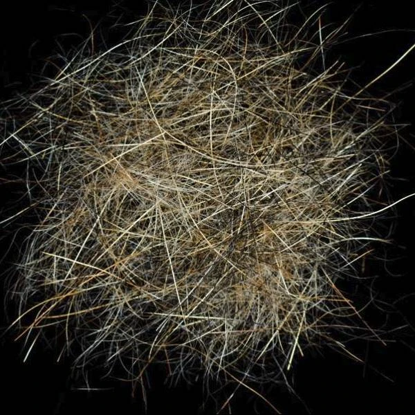 Alpin Fur 1 Alpin Fur