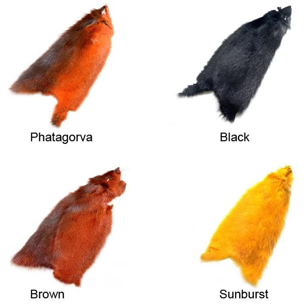 American Ondatra 2 American Ondatra - Afbeelding 2