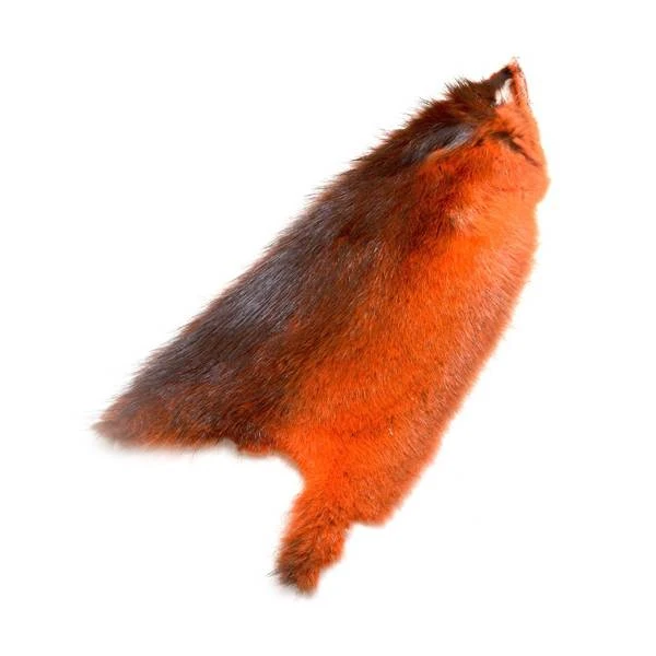 American Ondatra 1 American Ondatra