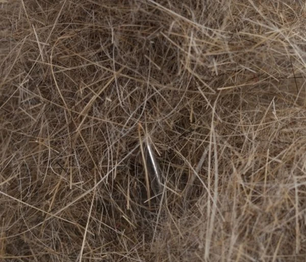 Argentinian Hare Dubbing 1 Argentinian Hare Dubbing