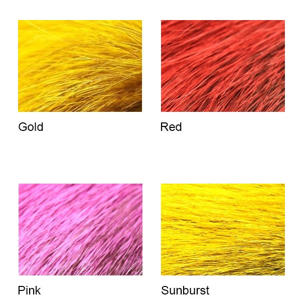 Nutria 3 Nutria - Afbeelding 3