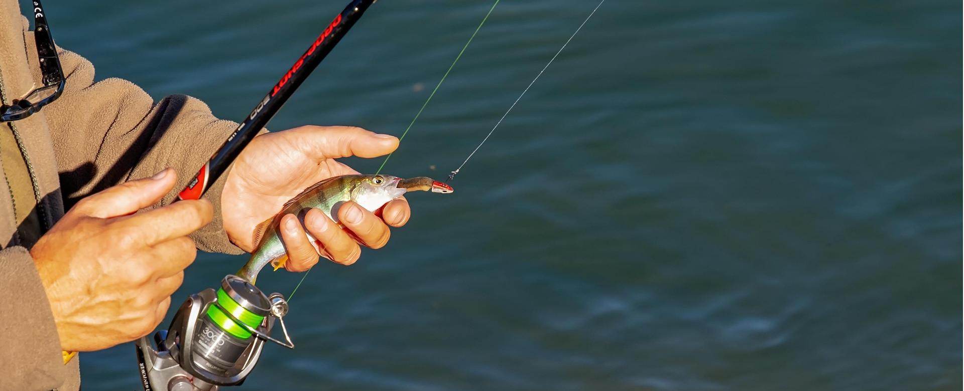 Winkel Voor Visbenodigdheden 1 Winkel Voor Visbenodigdheden -Winkel Voor Visbenodigdheden angler 3778880 1920